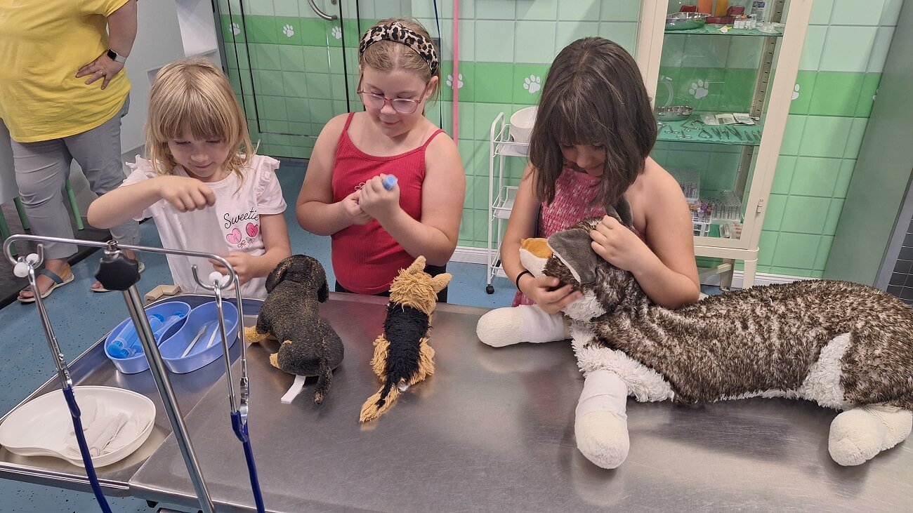 Hősök születése – a SZIVI mesetábor élményei